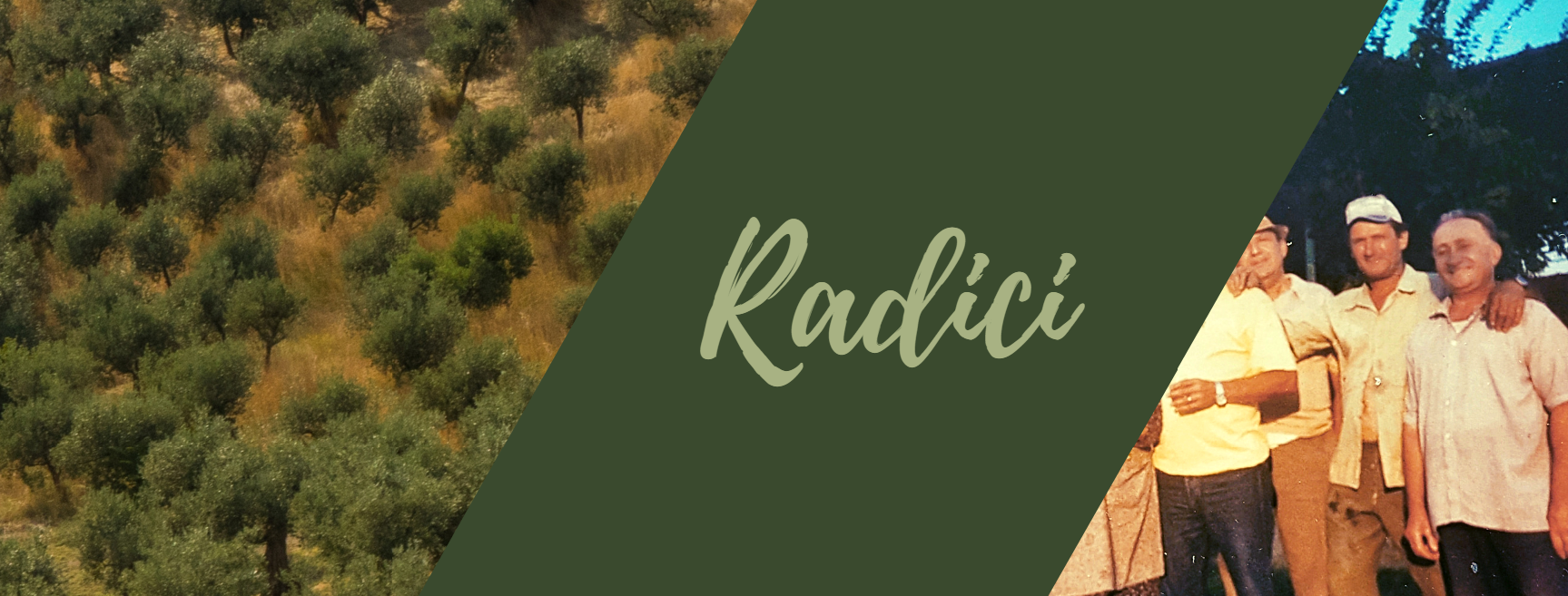RADICI